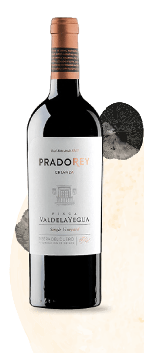 Finca Valdelayegua Crianza