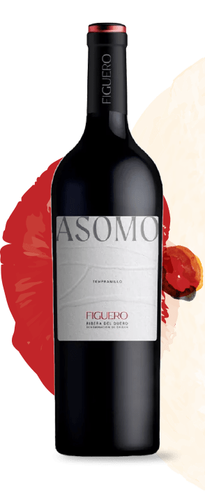Figuero Asomo