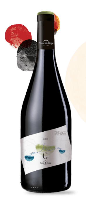 G. Godello